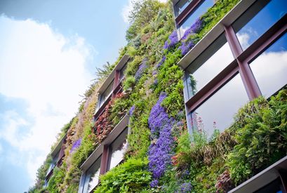 Natur stärken – Klima schützen: ANK-Projekte aus Rheinland-Pfalz gesucht! Natur stärken – Klima schützen: ANK-Projekte aus Rheinland-Pfalz gesucht!